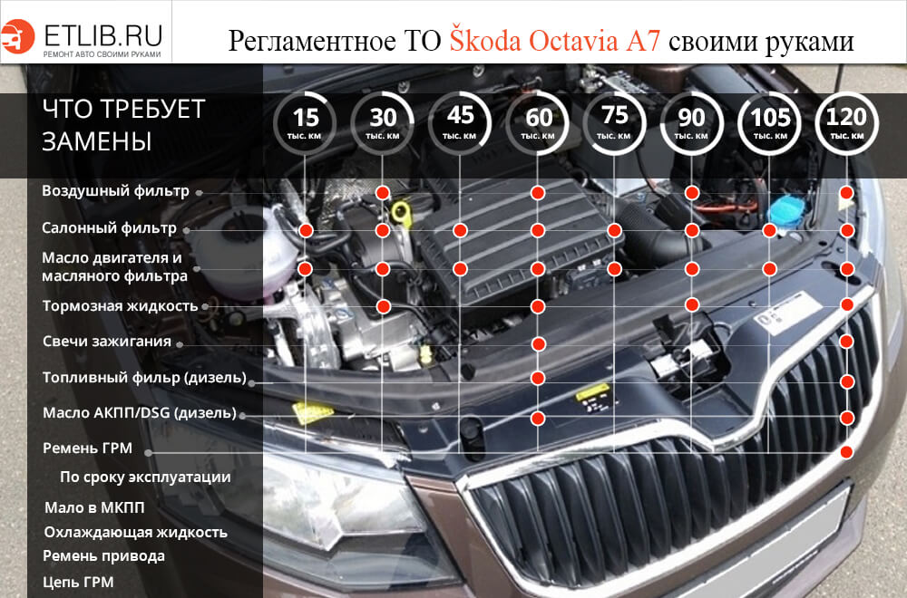 Техническое обслуживание Skoda OCTAVIA 1U [] в Санкт-Петербурге